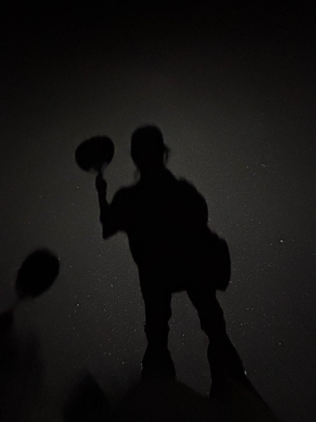 お気に入りの写真2