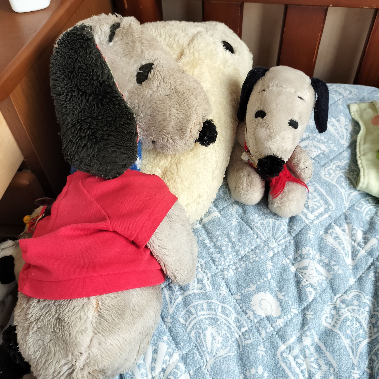 スヌーピーに出てくる好きなキャラクターは誰ですか？ฅ(･¨ (●)