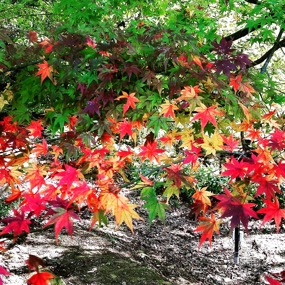 哲学(アート)してる映画探そう!