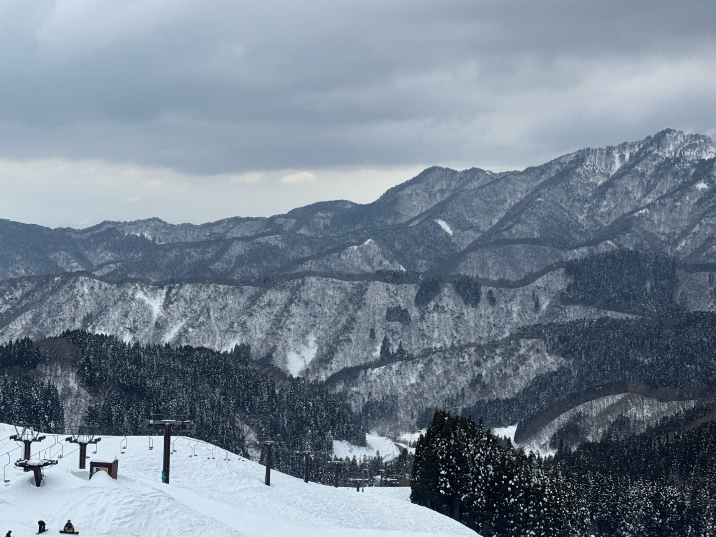 鳥取済みと話したい