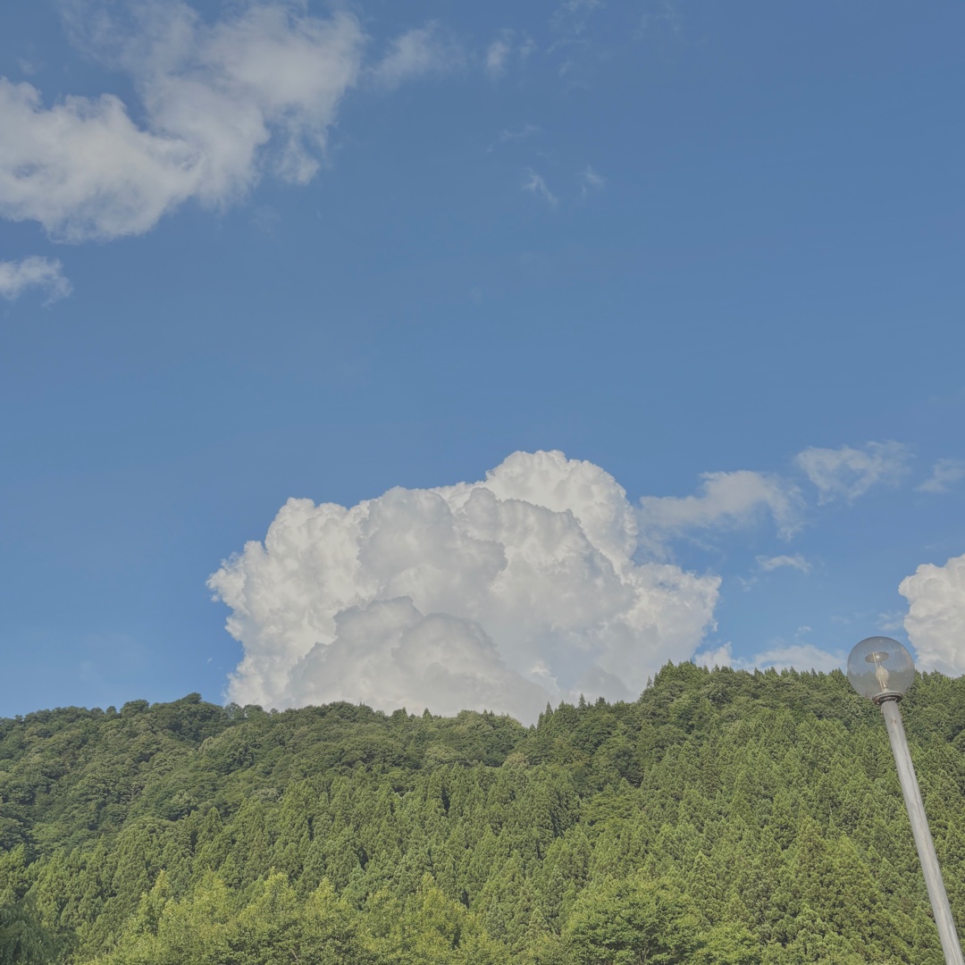 🌟好きな作品はなんですか？！