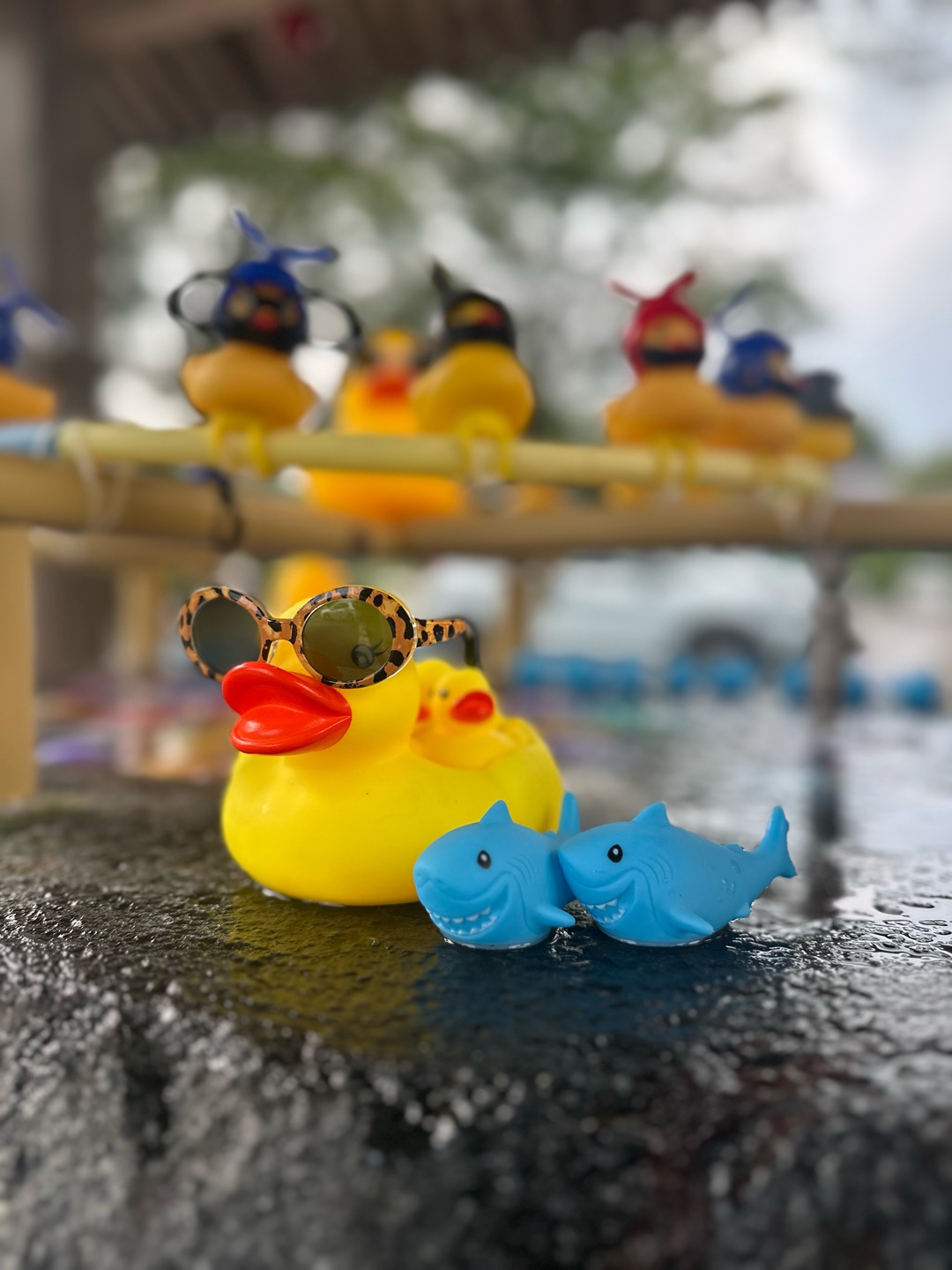 タコパ🐙🐙は