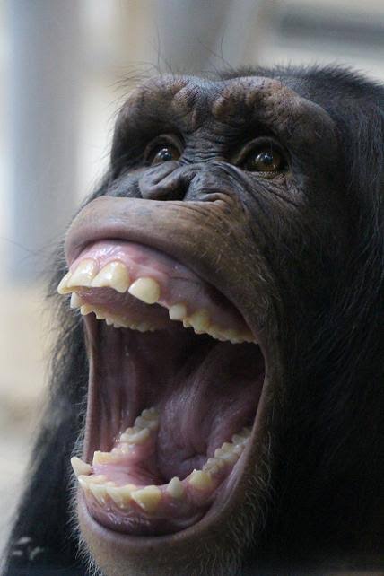 画像を見て一言。