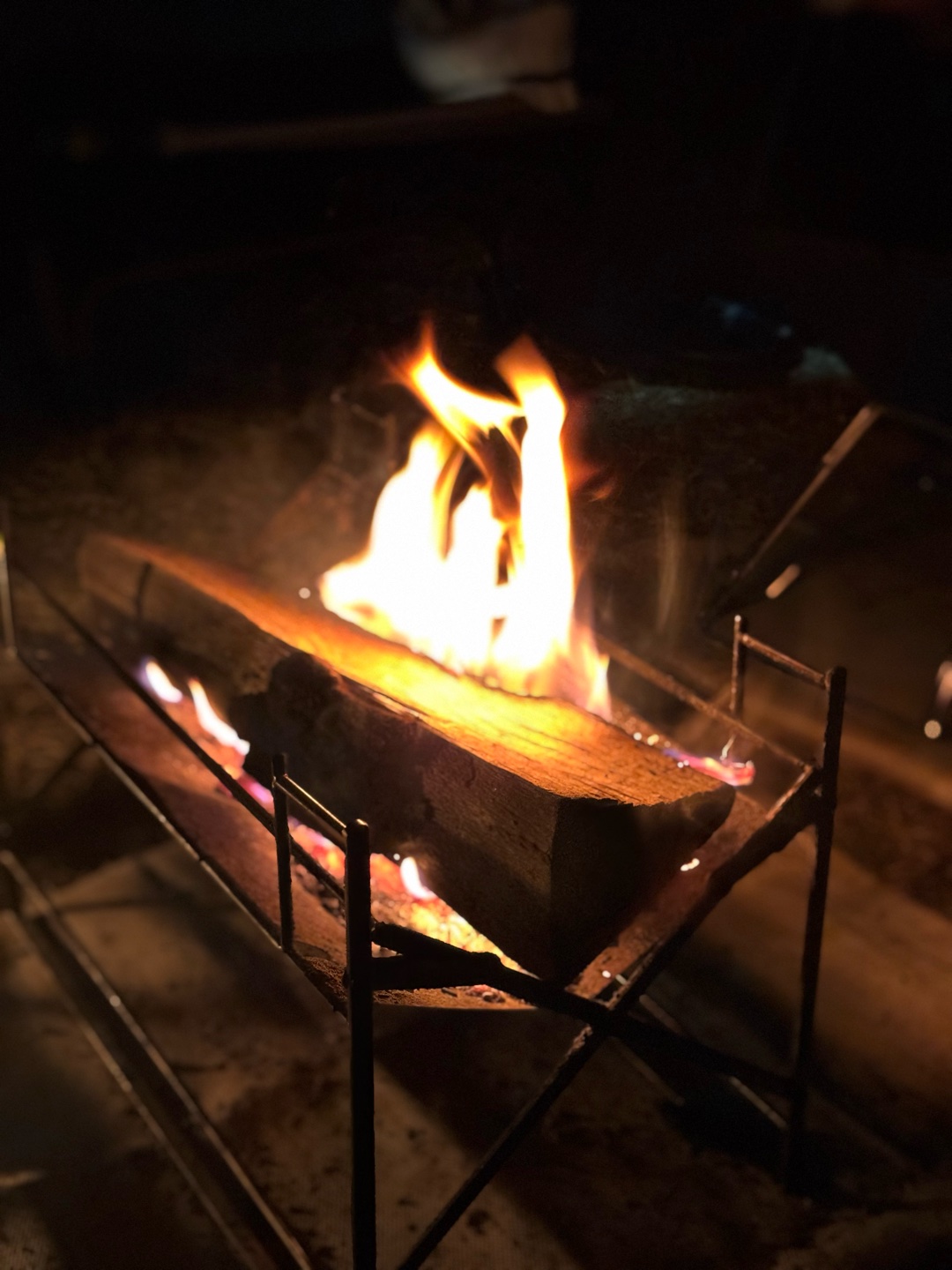 冬キャンするならどっち派?