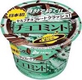 セルフチョコレートクラッシュチョコミントアイスって期間限定？一年中売ってる？