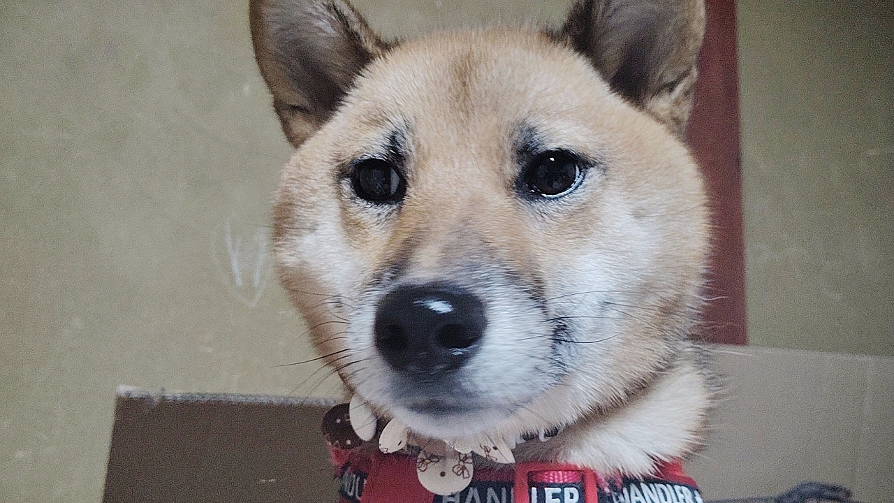 彼氏欲しいまじで