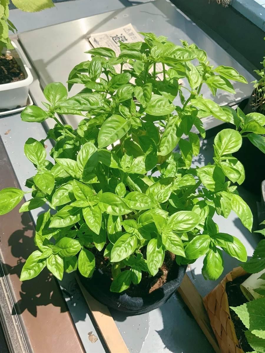 貴方の赤裸々な人生知りたいな…