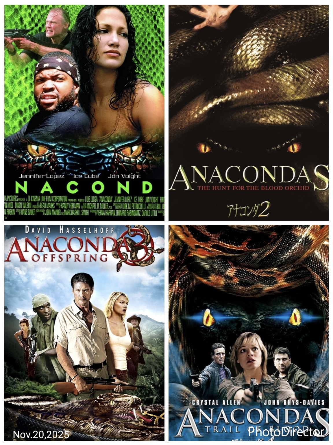 🐍2025年『巳年』のしめくくりに蛇さまが主役映画で💴金運アップ💰しませんか🐍噛まれてなんぼ🐍でかくてなんぼ✨ご利益頂きましょう‼️