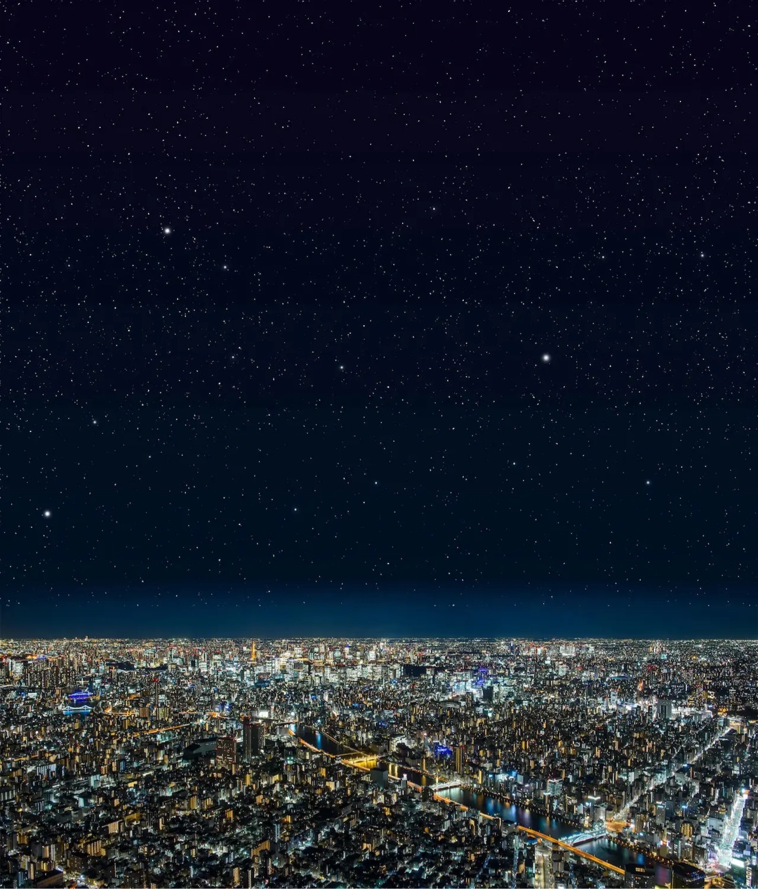 最高の夜景って？