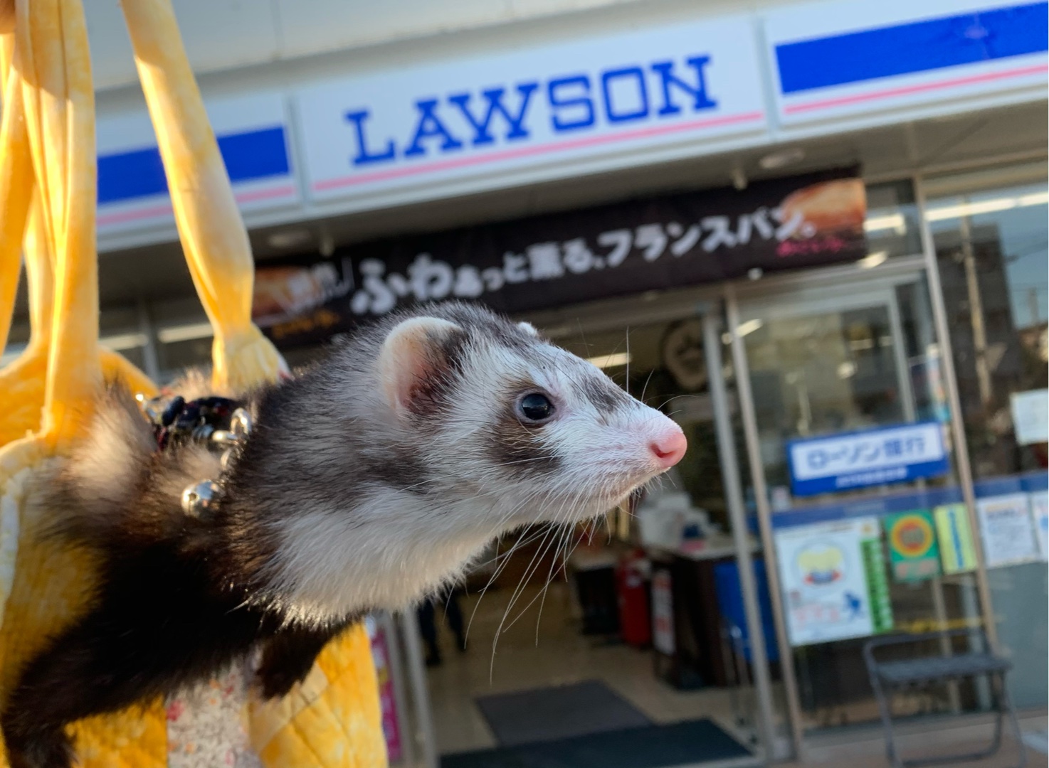 あなたのコンビニグルメ教えてー