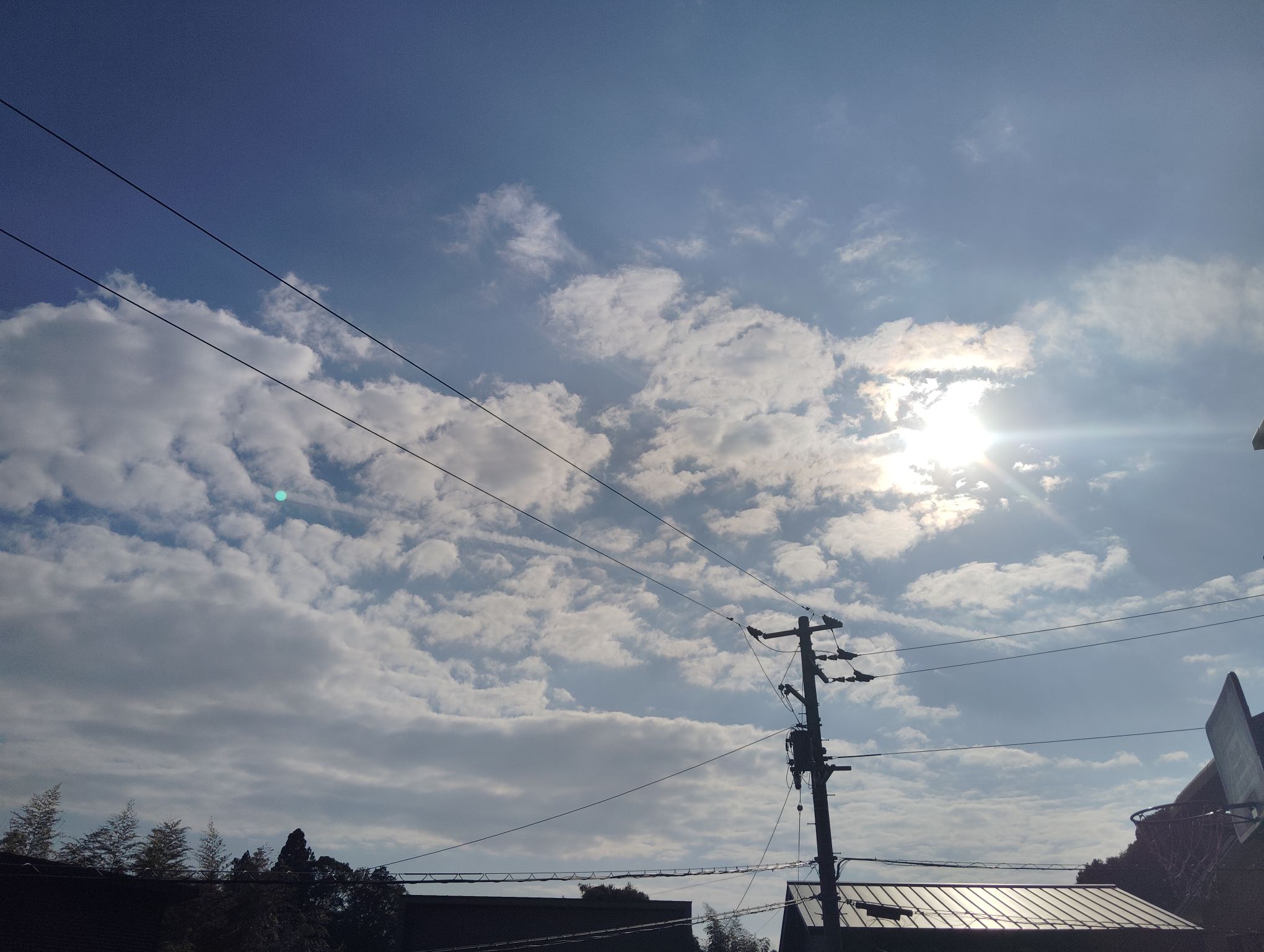 最近撮った写真みせて！ちなみに私はこれ