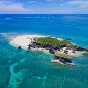 無人島に１週間。３つだけ持っていけるなら何を持って行く?