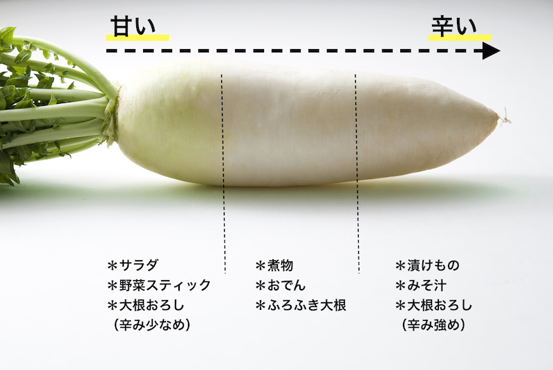 好きな大根の部位はどこですか？