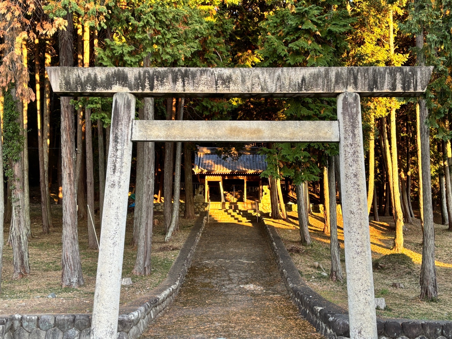 '26はどんな年にしたい？ちっちゃな目標からでっかい夢まで思いついたら書いてみよう！誰かに良い刺激になるかも⁈