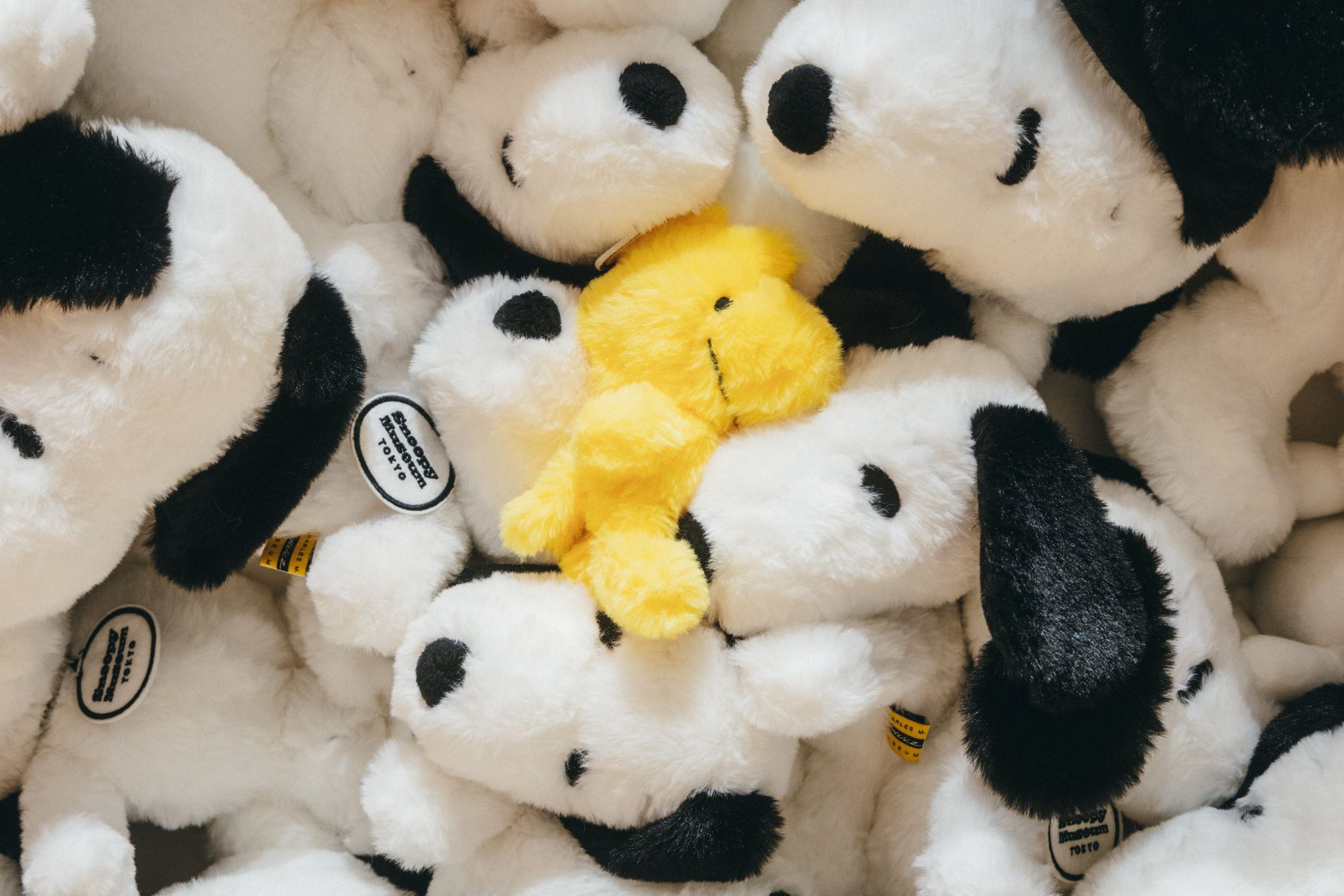 スヌーピー好きの皆様！東京にあるスヌーピーミュージアムに行ったことはありますか？行ったことがある方は感想頂けると嬉しいです(・¨●)