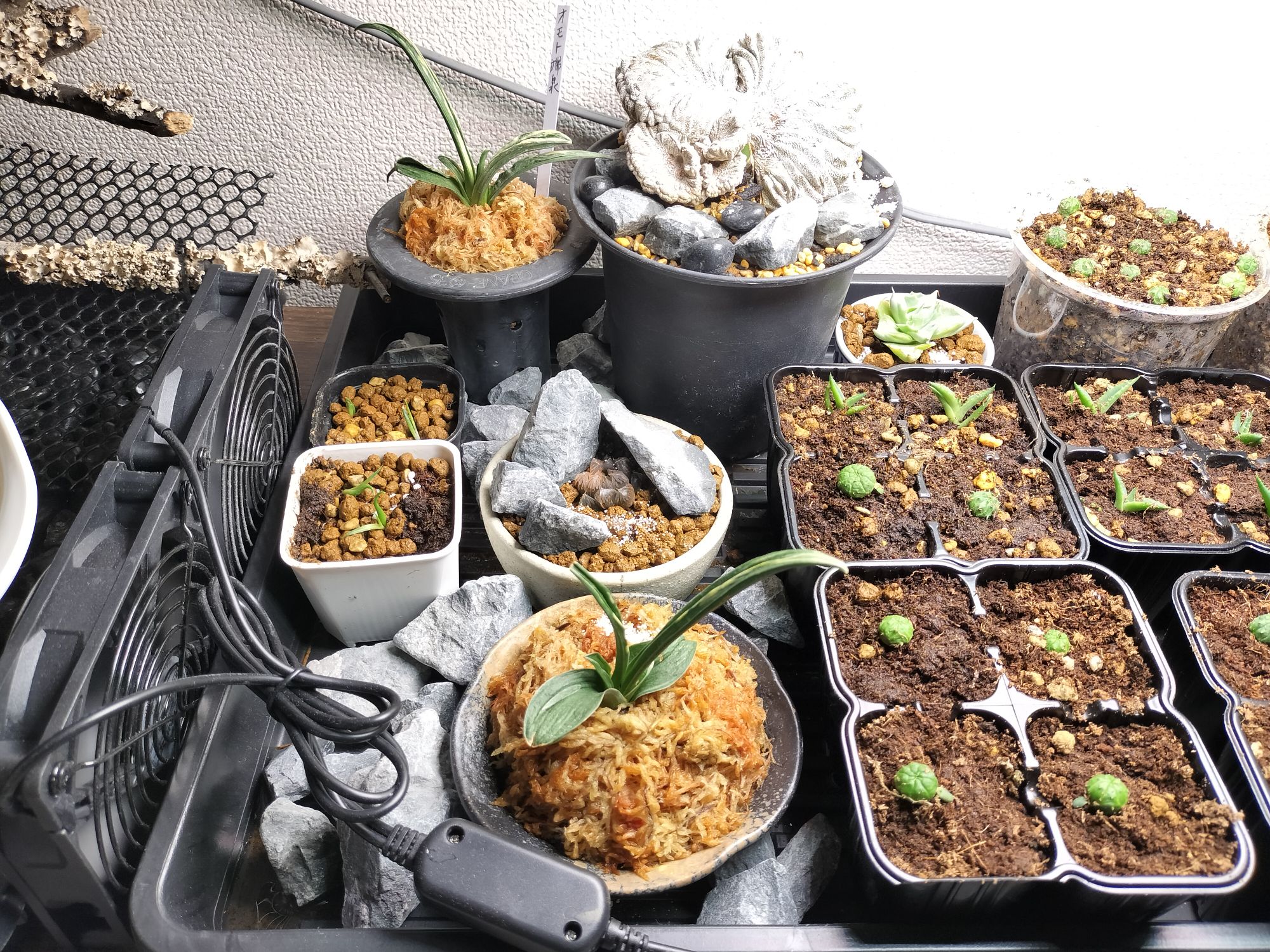 言い訳していいわけない