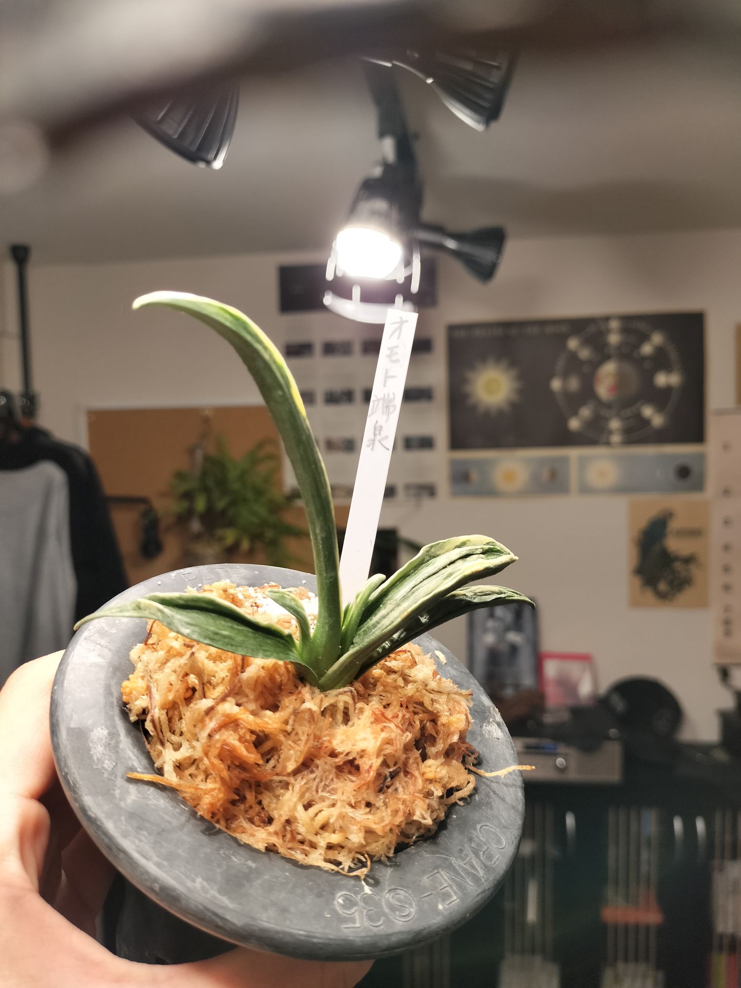 言い訳していいわけない