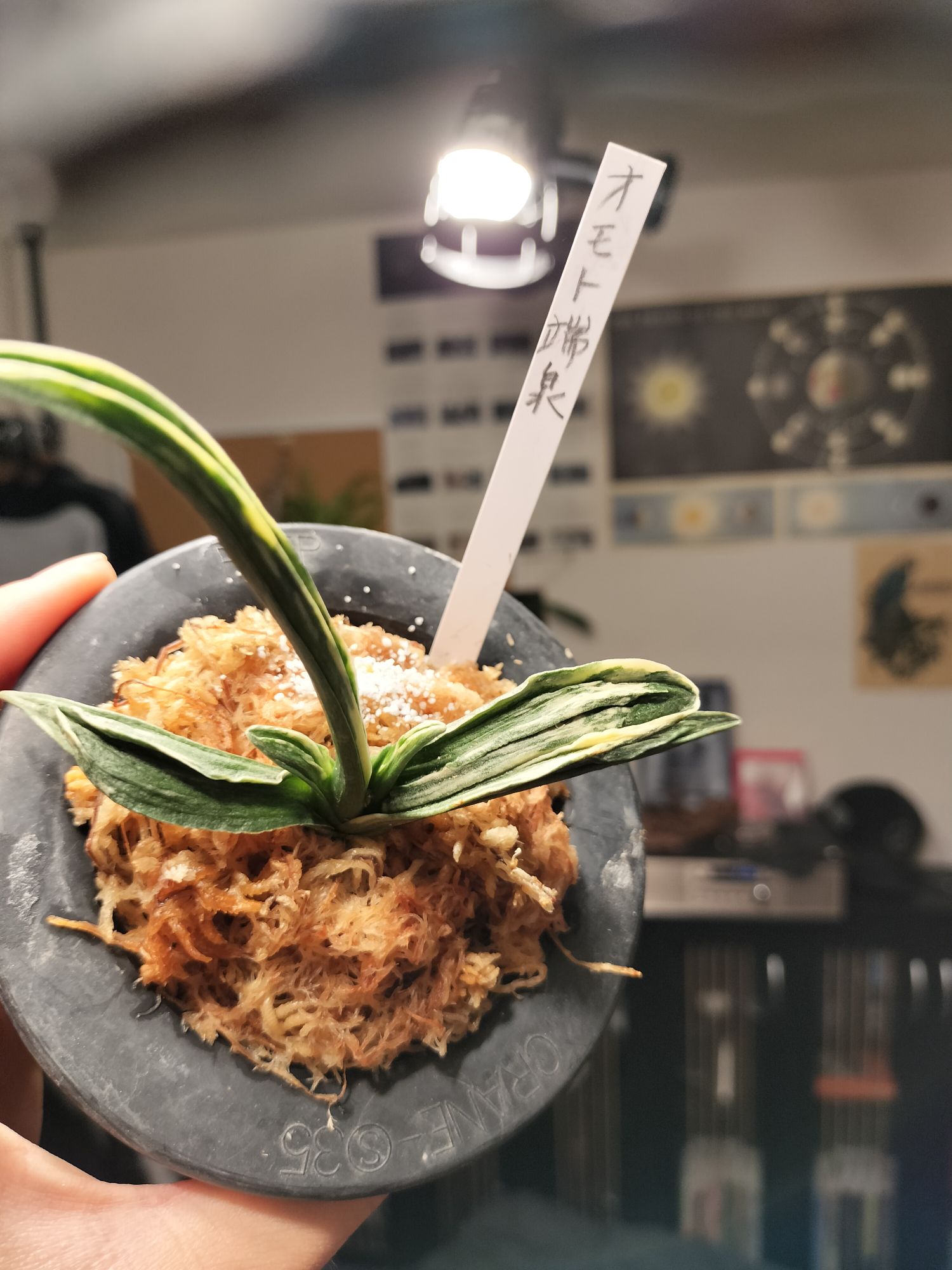 言い訳していいわけない