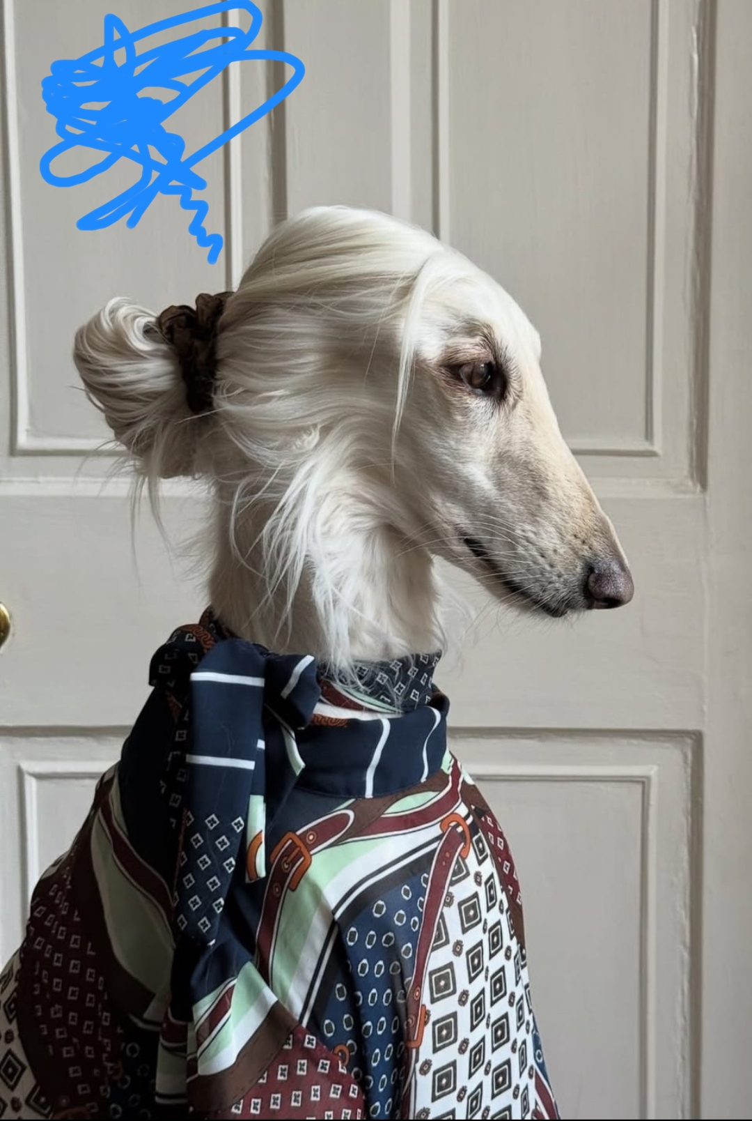 切ったことある??