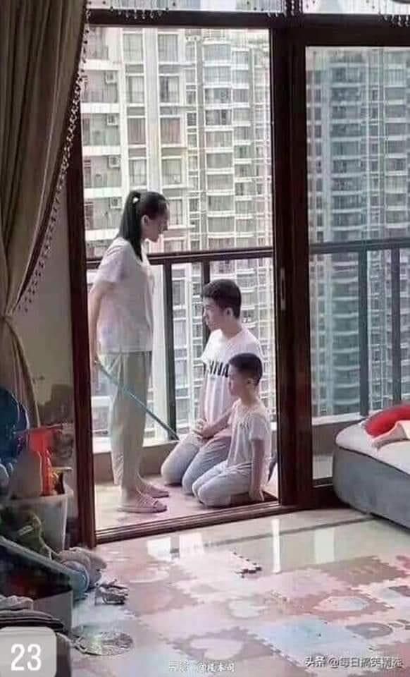 【写真で一言】ベランダにて…