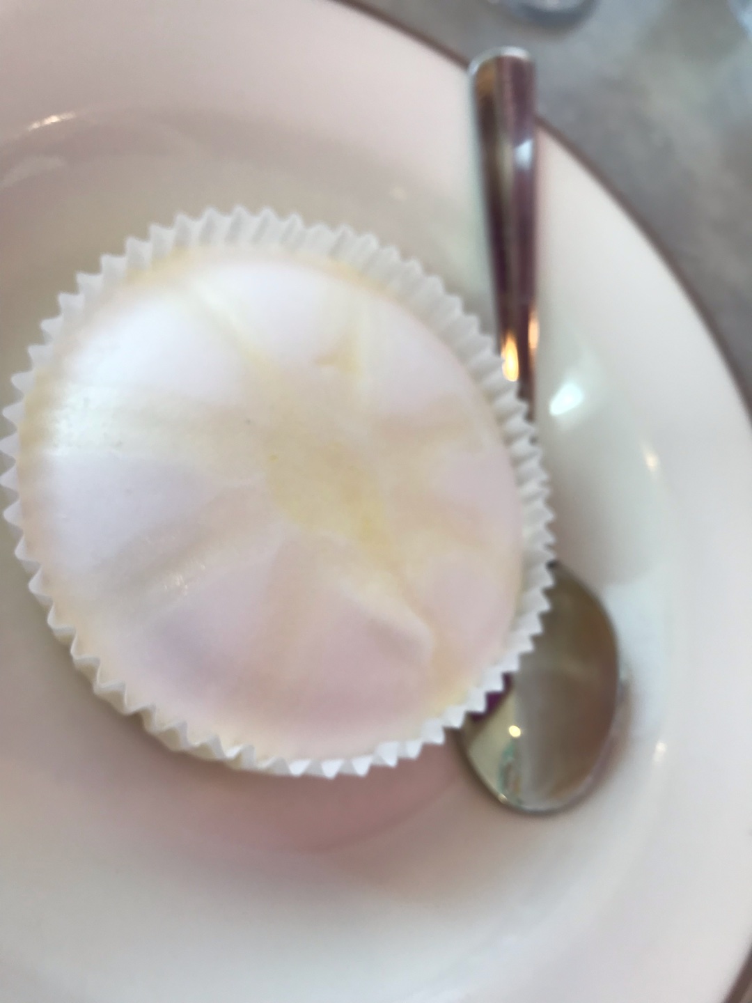 サイゼリヤの限定メニュー！オススメありますか？✨