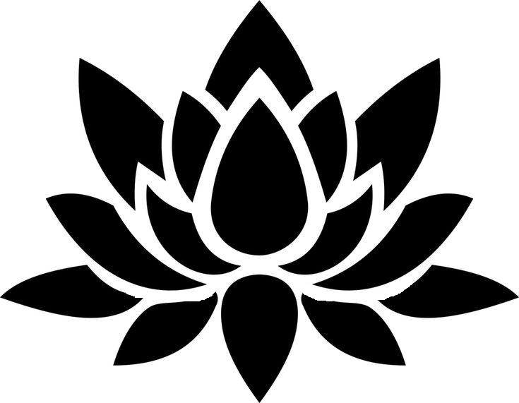 初心者コース🍀