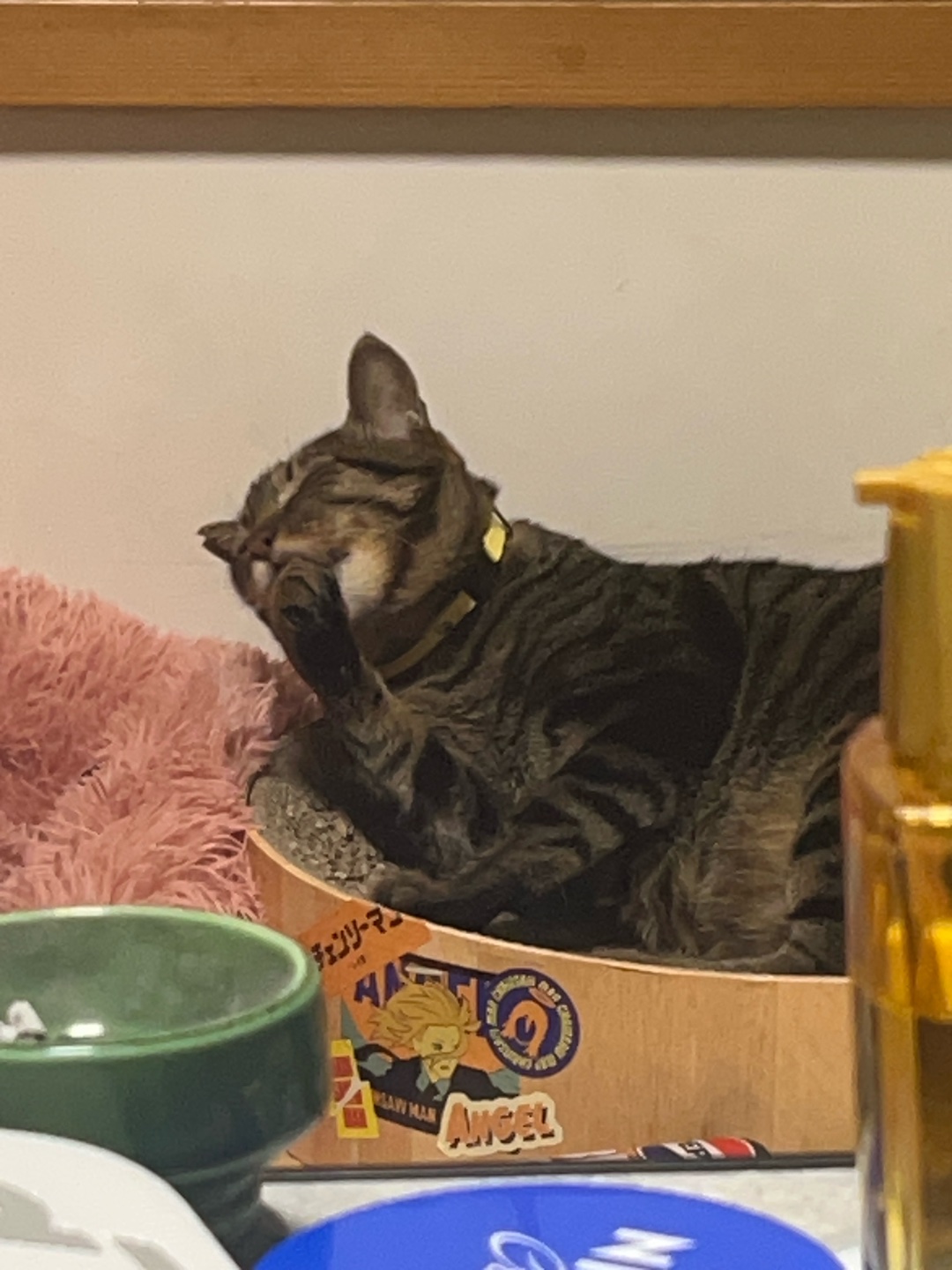 空も飛べるはず