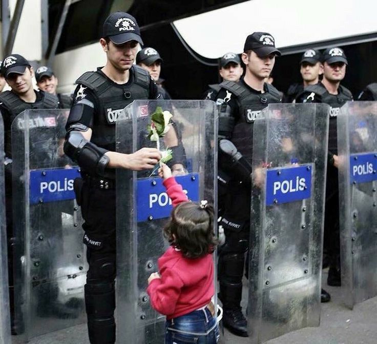 【写真で一言】花