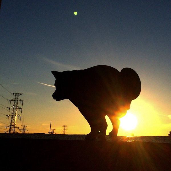 【大喜利】何が起こっているのか、説明してください。