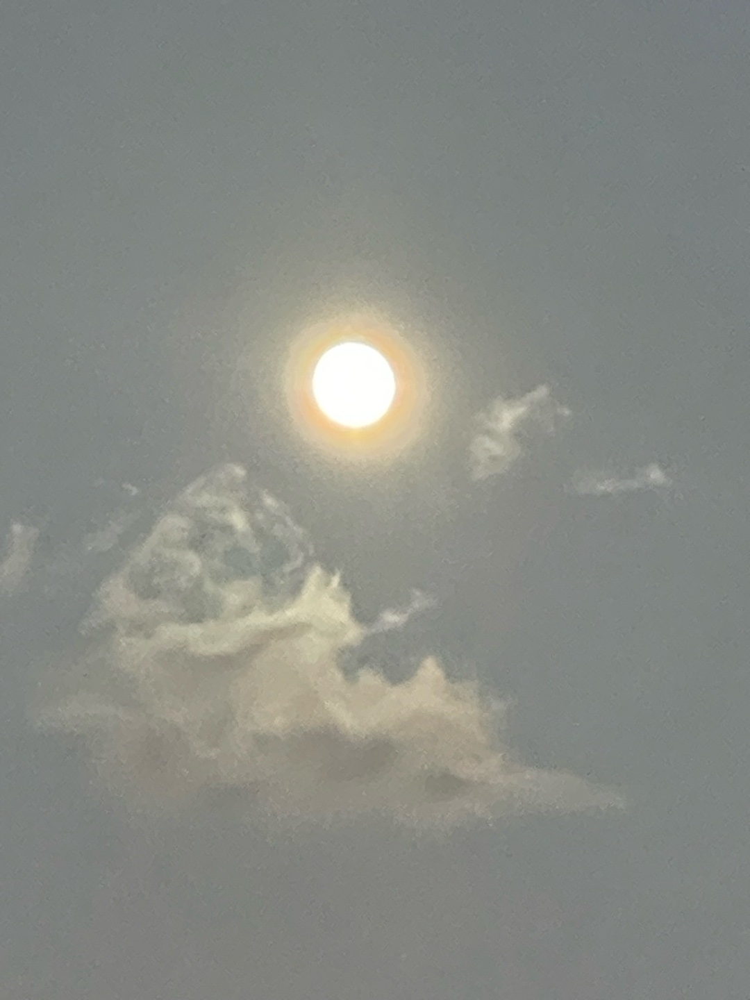 グラTOMOさん&フォロワーさんへ