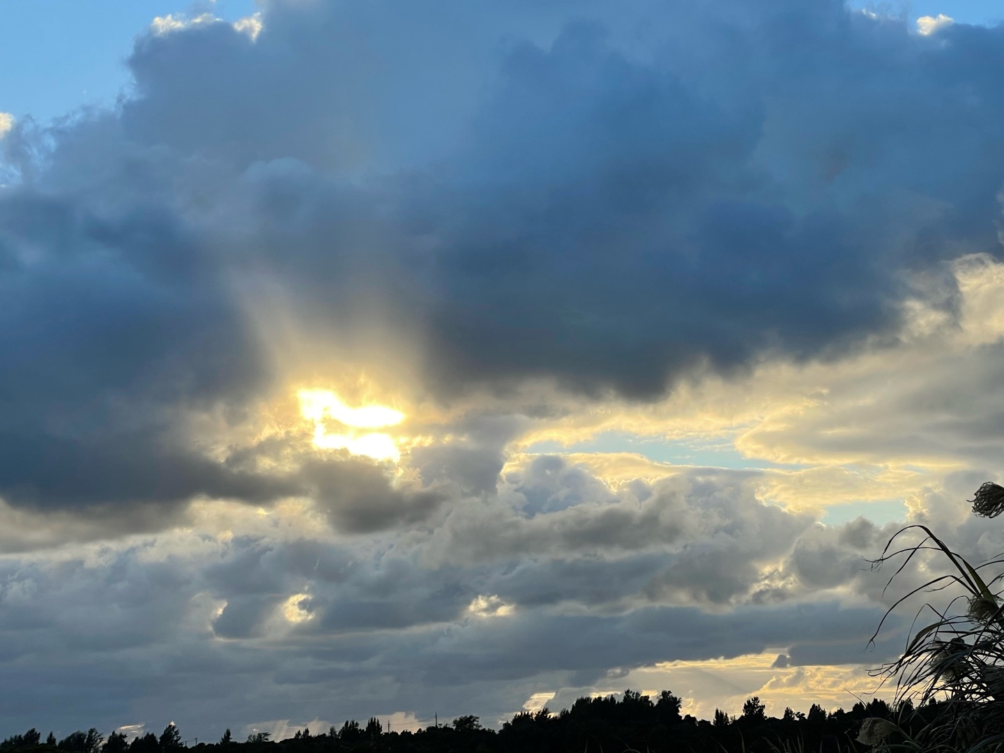 新年明けましておめでとう御座います