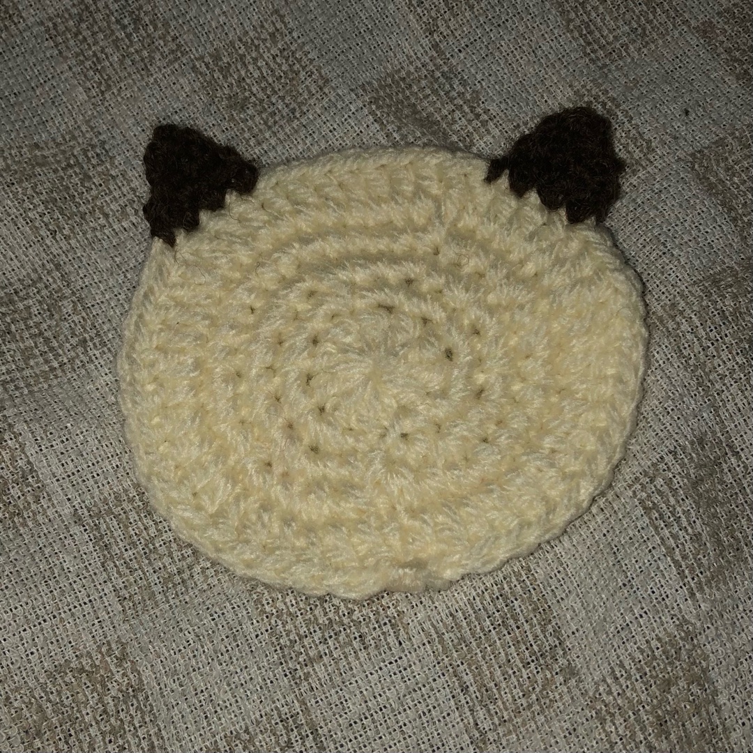 こういうのがメルカリに売ってたら買う？