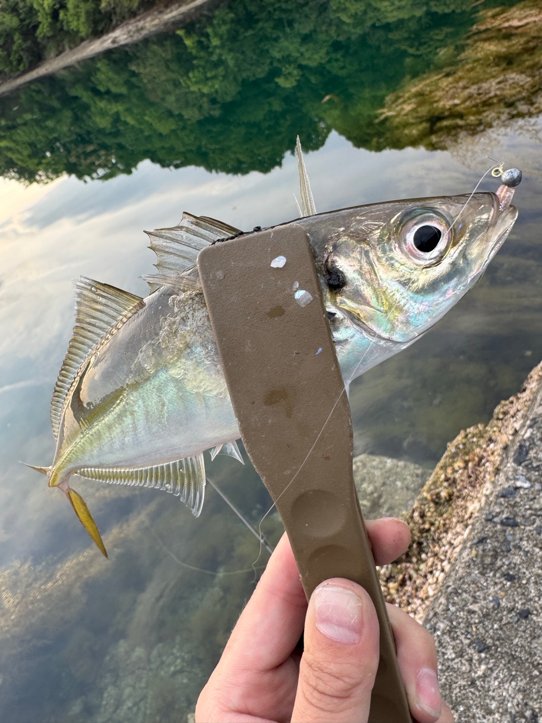 最近買ったオススメのもの