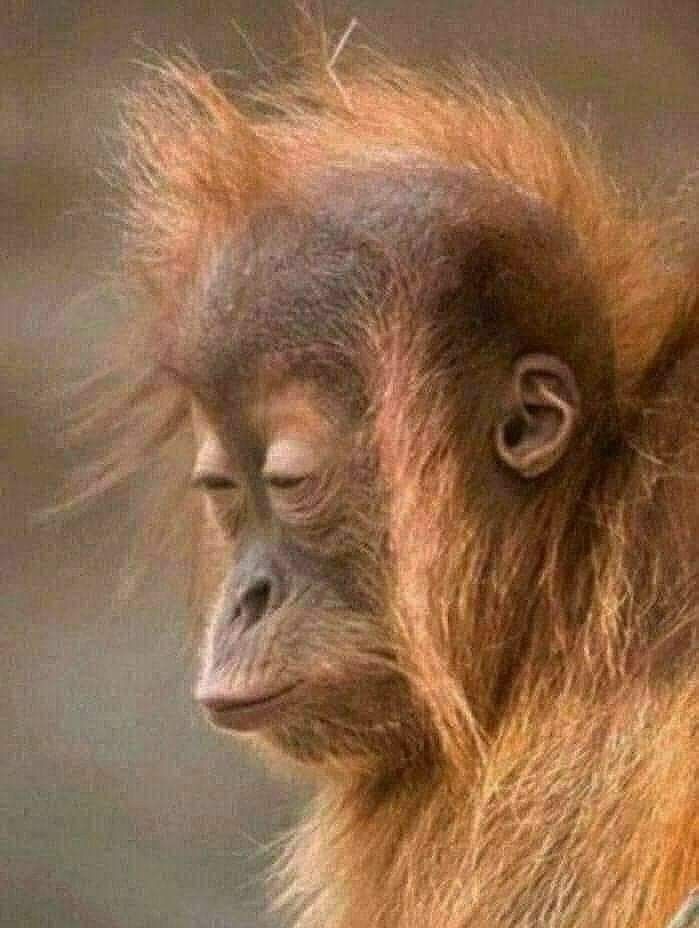 【写真で一言】彼に一体、何があった？