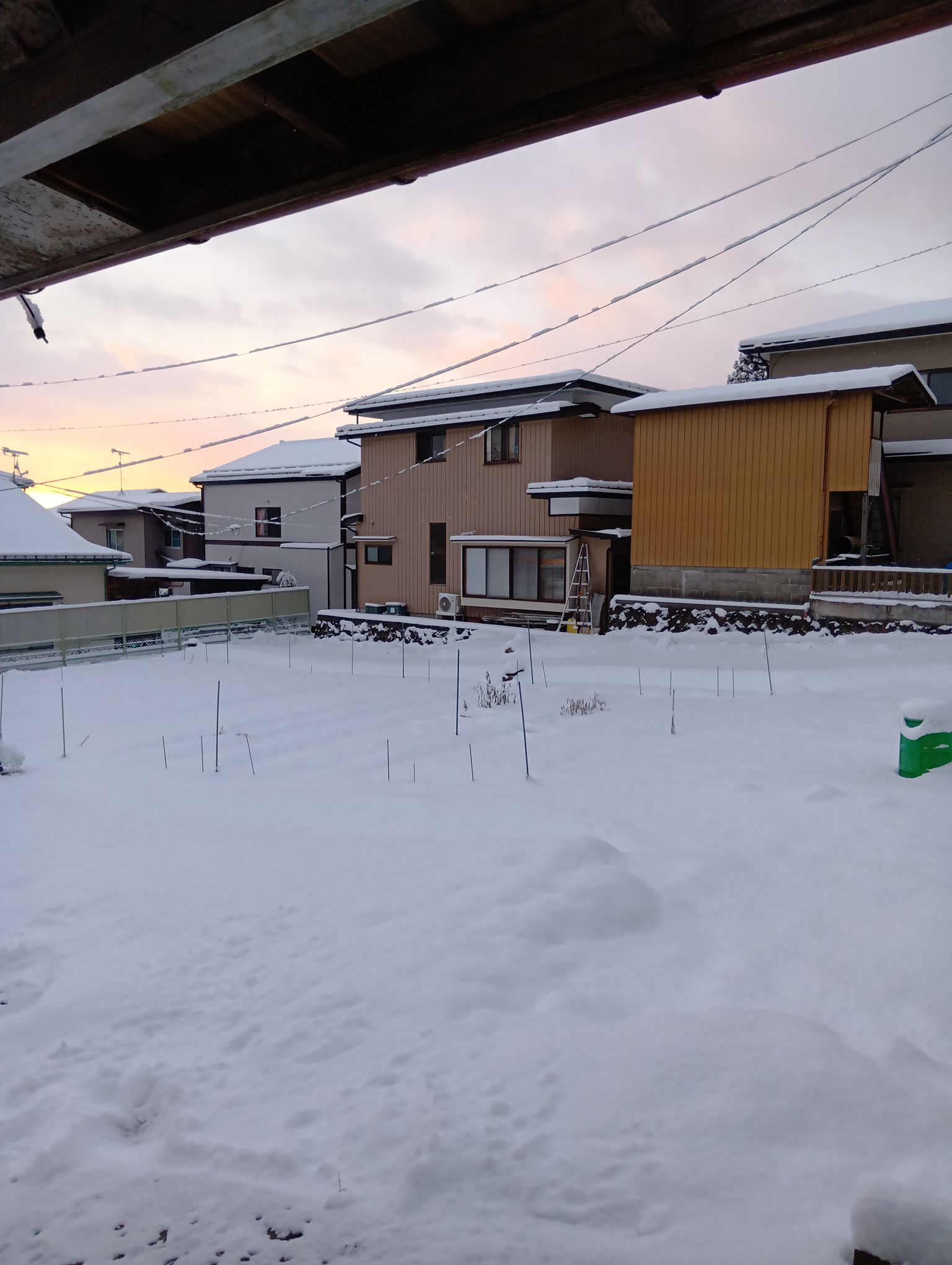 もう〜雪はいらなーい😭😭