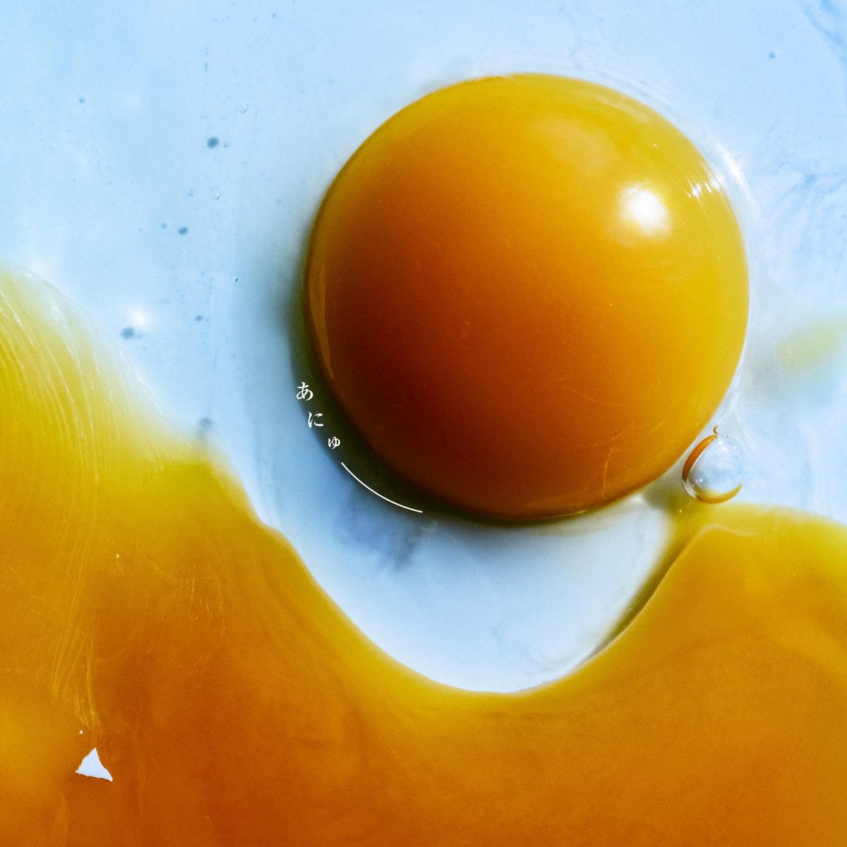 先月、一番よく聴いた曲は何ですか。