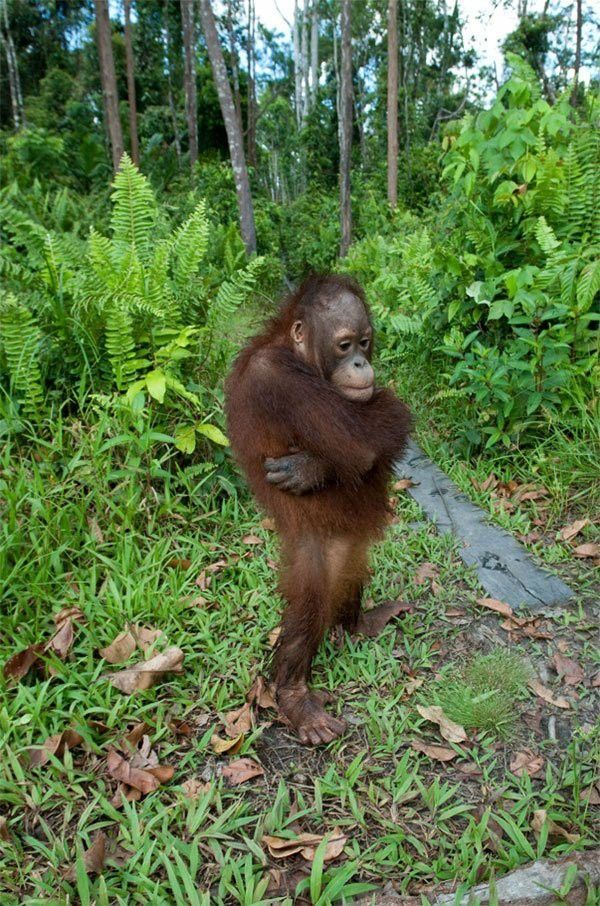 【写真で一言】彼は今、何を考えている？