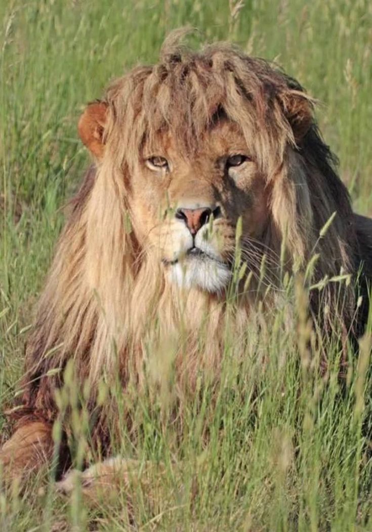 【画像で一言】彼に一体、何があった？