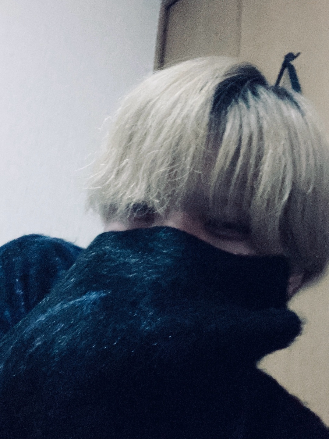 自分の系統がわからんす