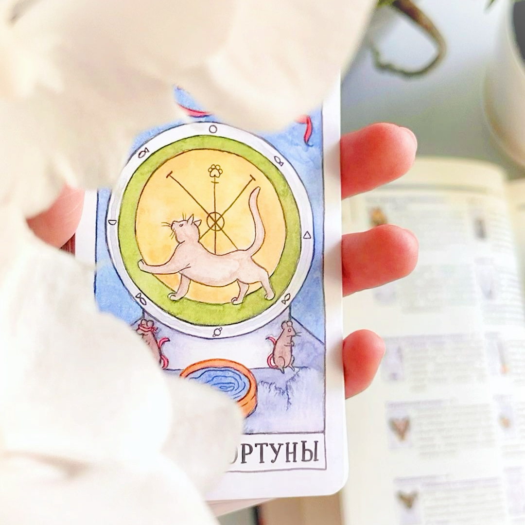 今年、あなたを成長させてくれるどんな出来事が起きそう？