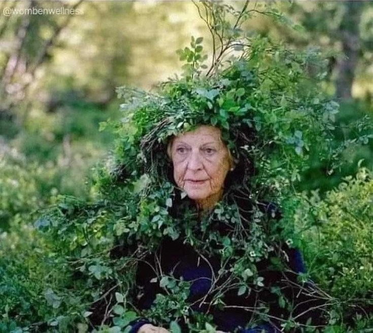 【画像で一言】