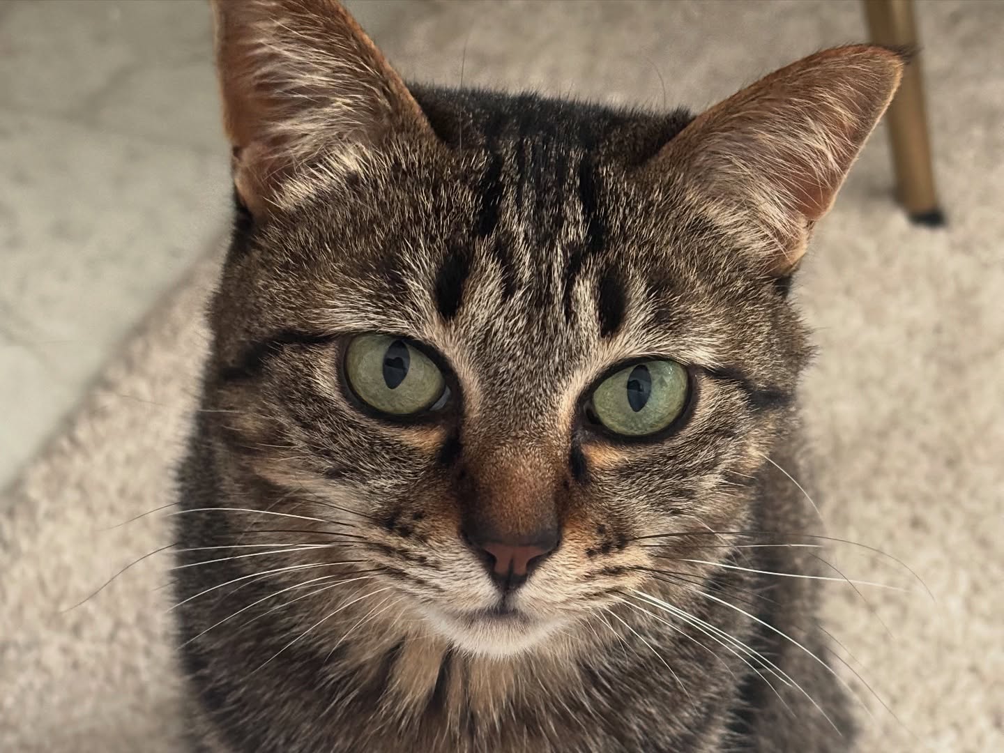 晴れの日と雨の日、どちらが好きですか？