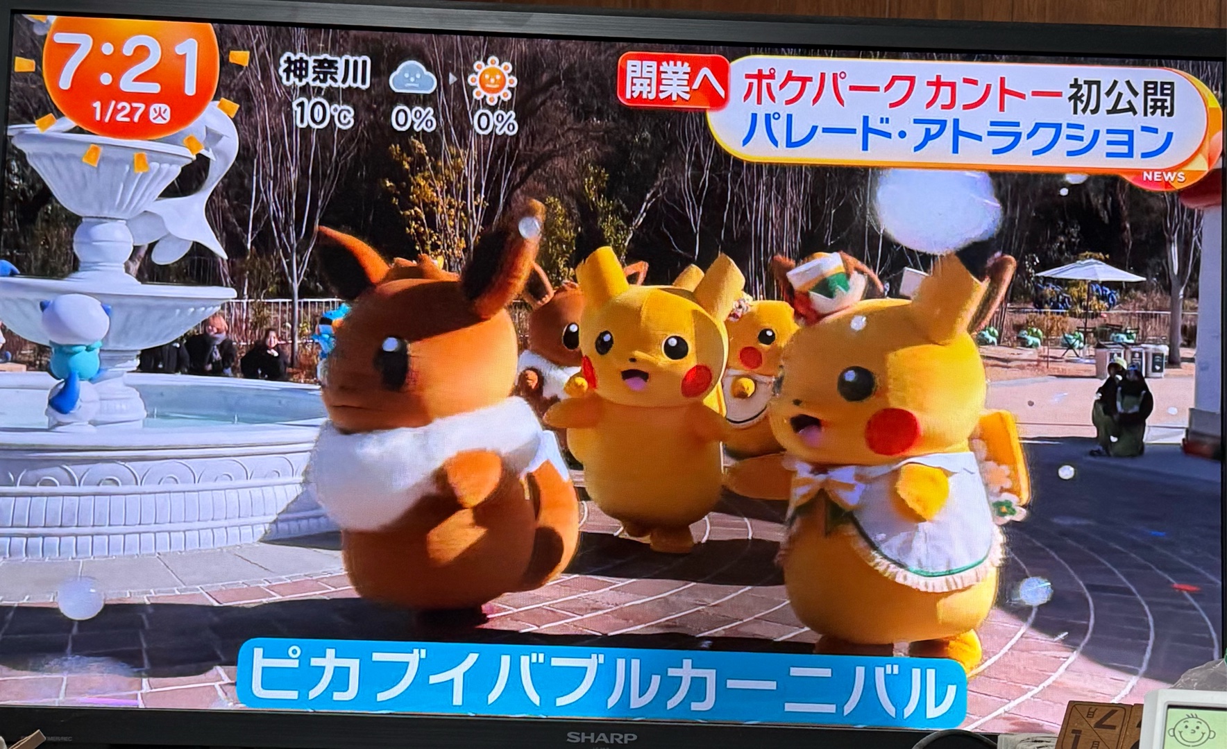 ポケパーク・カントー