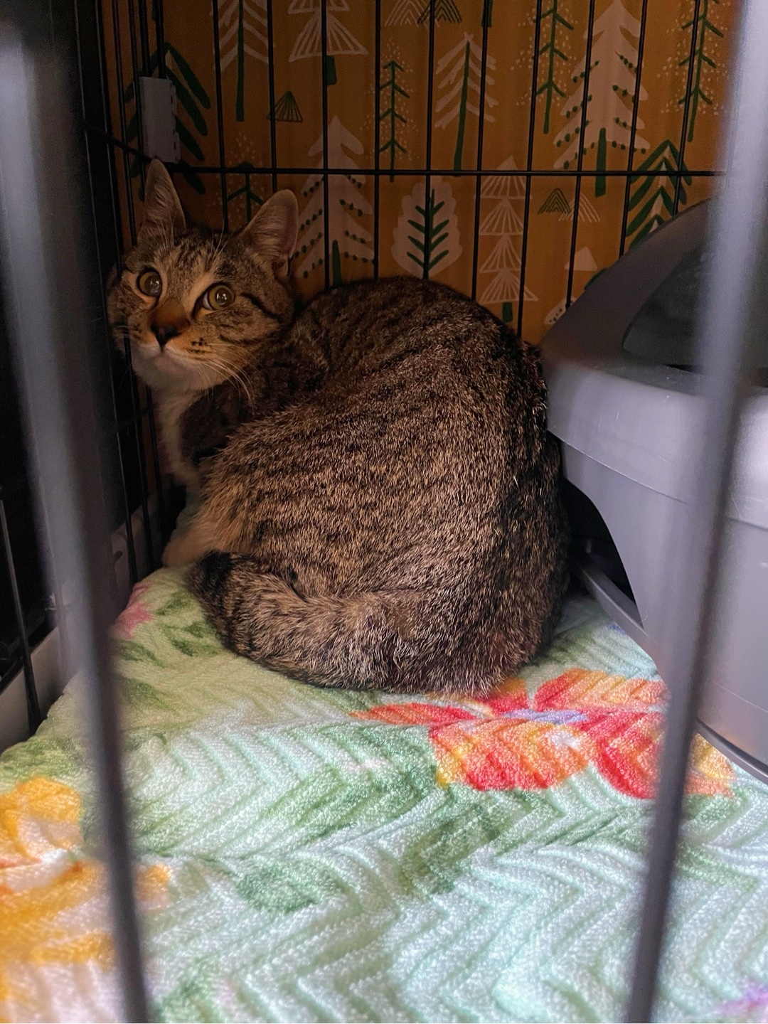 あ！そうか！新たなマネーロンダリング方法なんだな‼️事情と経路を知ってる人間が💦狙った訳ね💦ネットバンキング出来る時代に現金持って香港に🇭🇰渡る🇭🇰言わずもがなだな🇭🇰(´-ω-)ｳﾑ｜ともくんの投稿-GRAVITY(グラビティ)  SNS