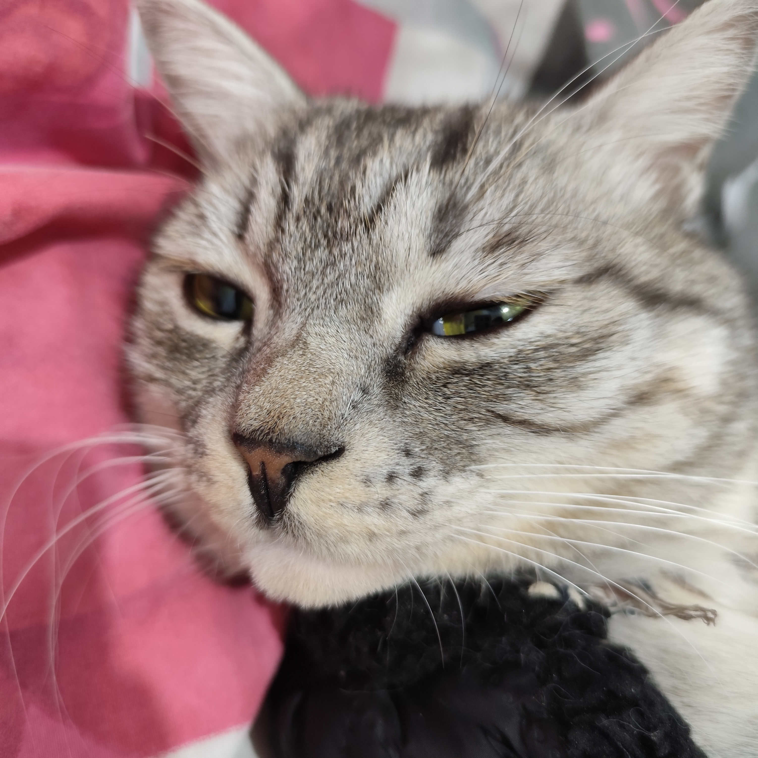 あ！そうか！新たなマネーロンダリング方法なんだな‼️事情と経路を知ってる人間が💦狙った訳ね💦ネットバンキング出来る時代に現金持って香港に🇭🇰渡る🇭🇰言わずもがなだな🇭🇰(´-ω-)ｳﾑ｜ともくんの投稿-GRAVITY(グラビティ)  SNS