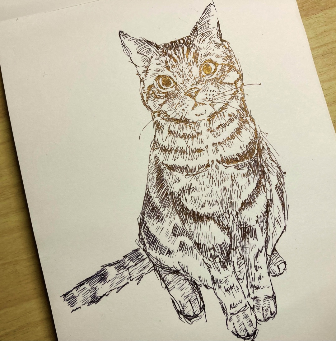 絵を描きました