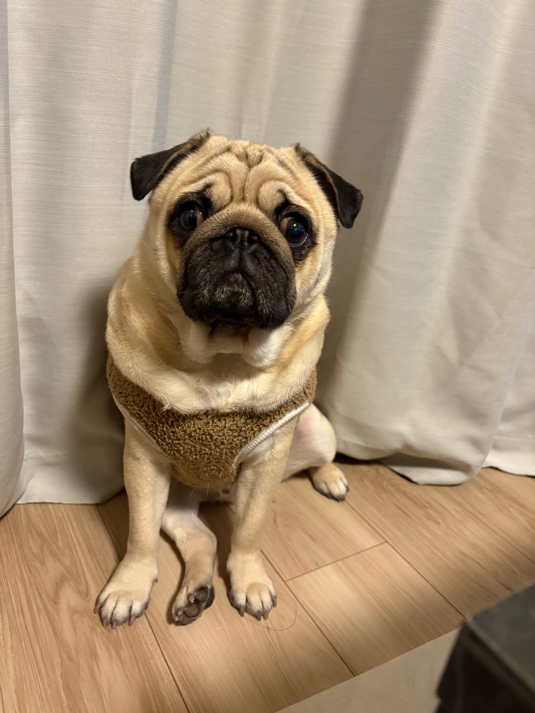 関東でおすすめのドッグランありますか🥹？