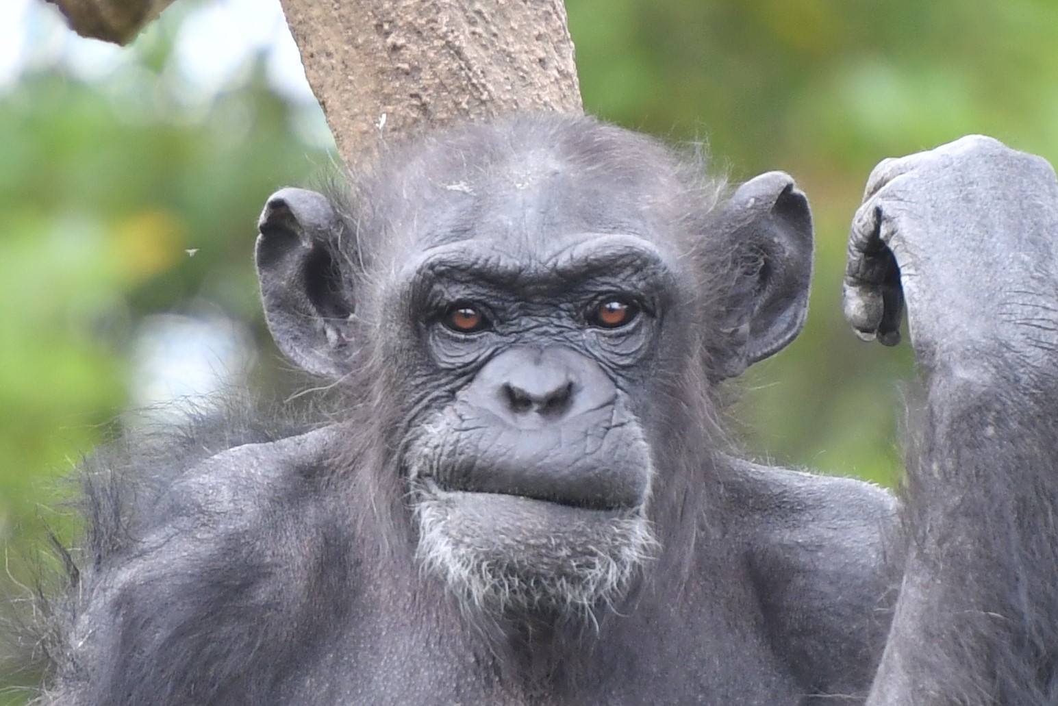 【画像】写真で一言