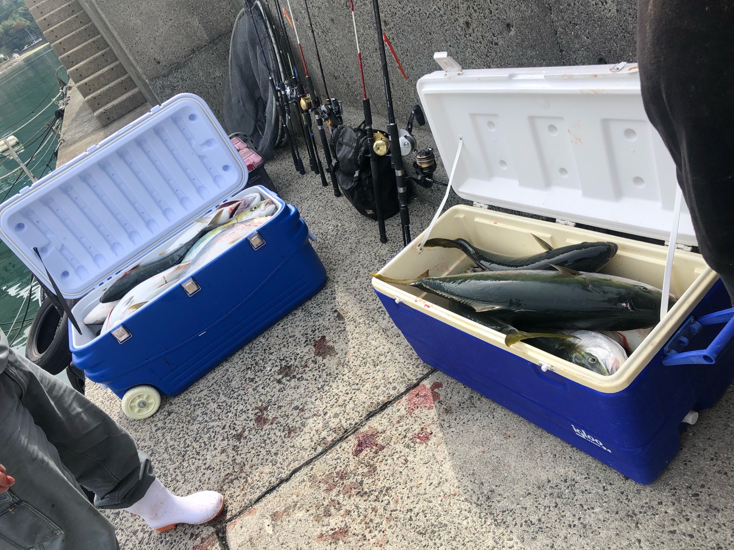 リールオーバーホールについて、ご自身でされてる方はおられますか？？