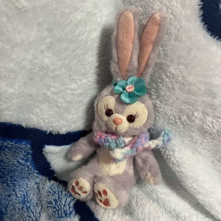 作ったもの収納する所が無くなってきてメルカリとかでお迎えしてくれる方居ませんか？
ぬいぐるみは着いてないです試しにつけた時どんな感じかの写真です